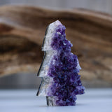 Amethyst Druzy Tree