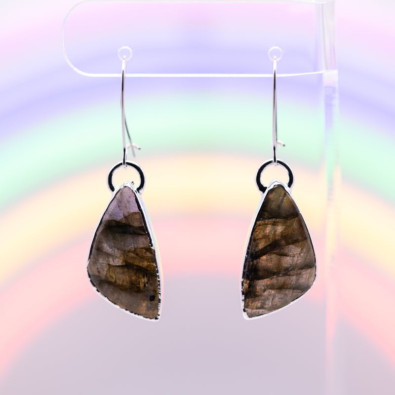 Freeform Labradorite Earrings