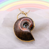 Giant Ammonite Necklace