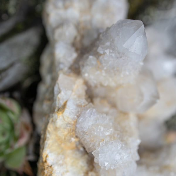 Spirit Quartz Cluster