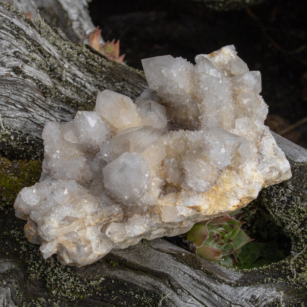 Spirit Quartz Cluster