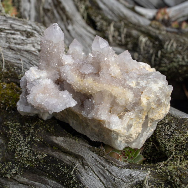 Spirit Quartz Cluster